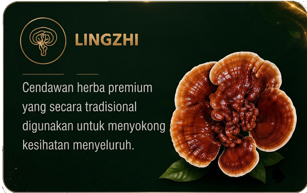 lingzhi (2)